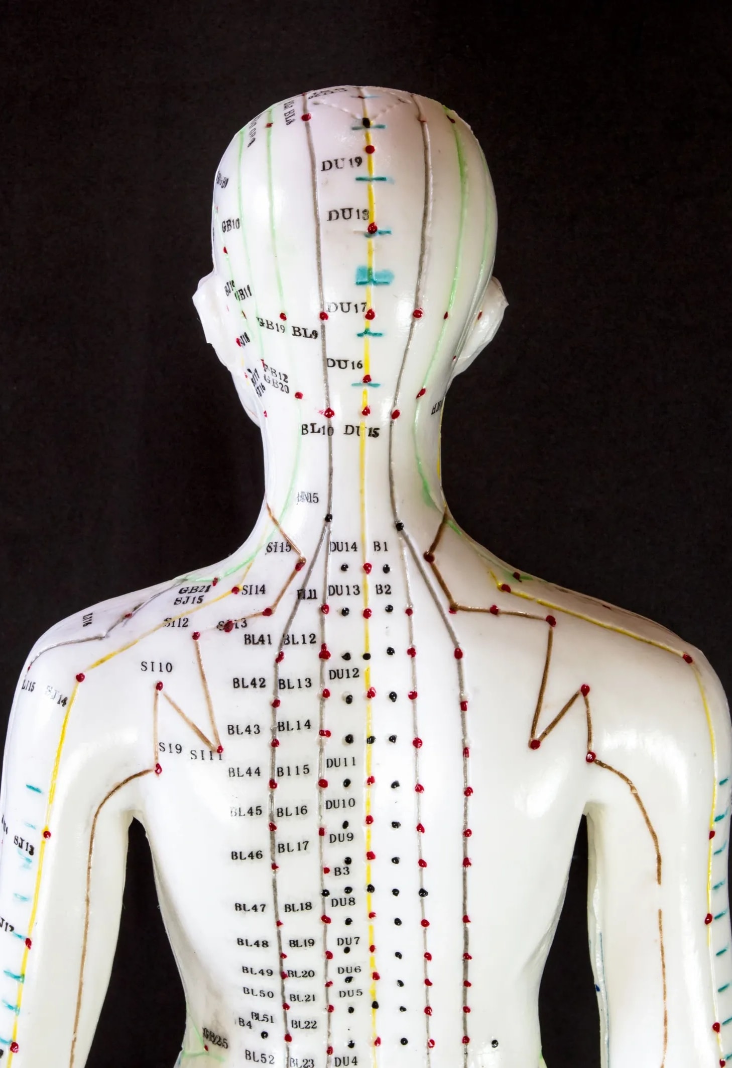 Human body with glowing meridian energy lines — confirming ancient Chinese medicine pathways